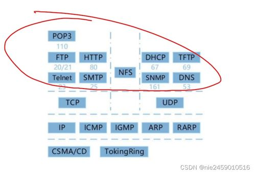 軟考軟件設計師 計算機網絡與計算機軟件開發(fā)技術核心筆記